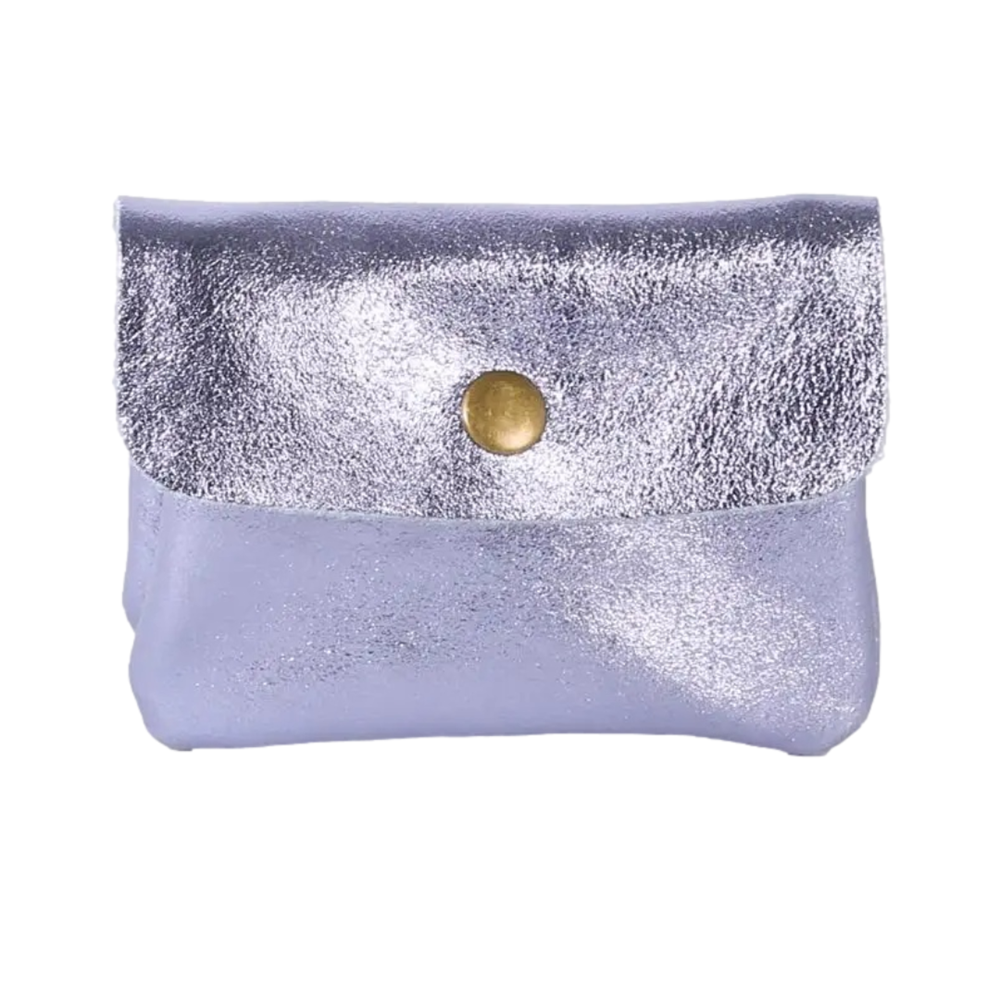 Metallic Coin Purse