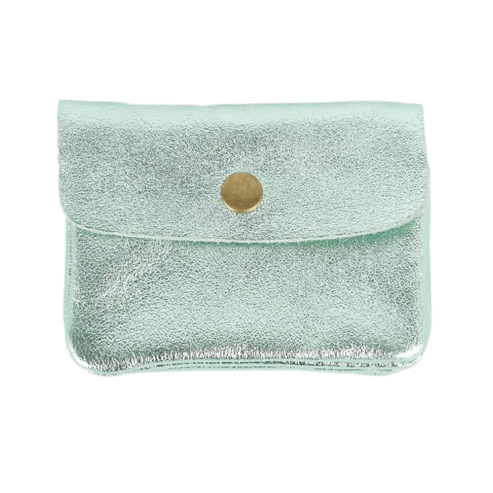 Metallic Coin Purse