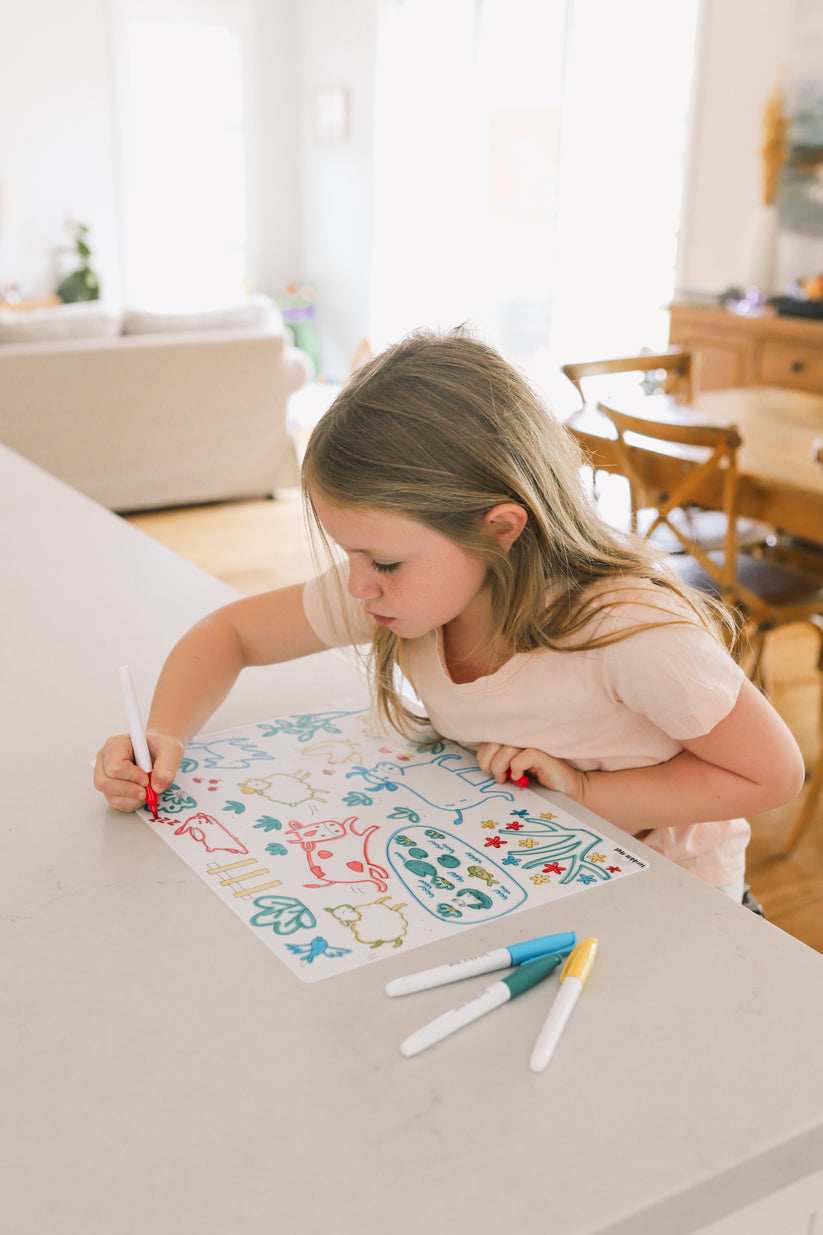 Reusable Scribble Mat - On The Farm